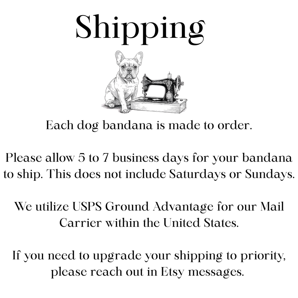 Boho Stripes Dog Bandana