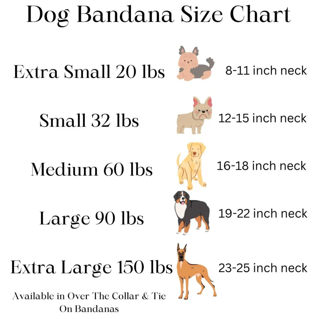 Starfish Dog Bandana