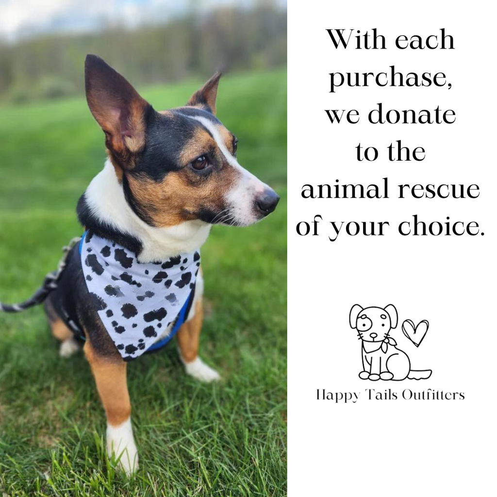 Boho Stripes Dog Bandana